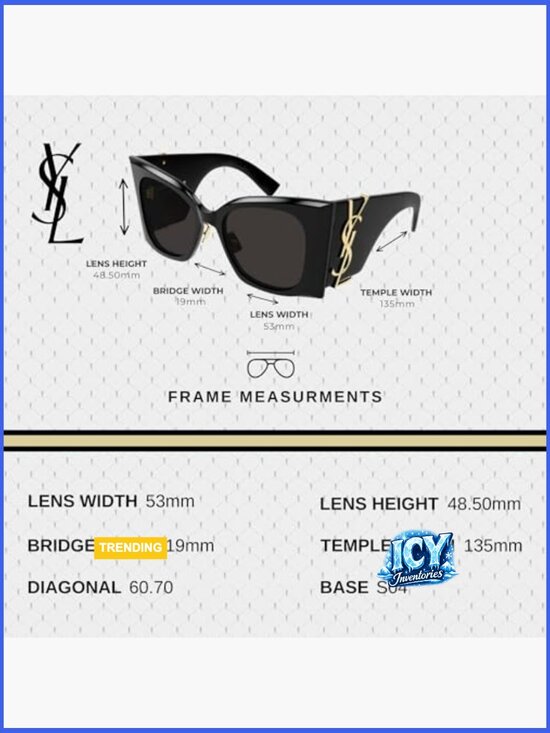 Oversized Cat-Eye Sunglasses + Luxury Eyewear Kit